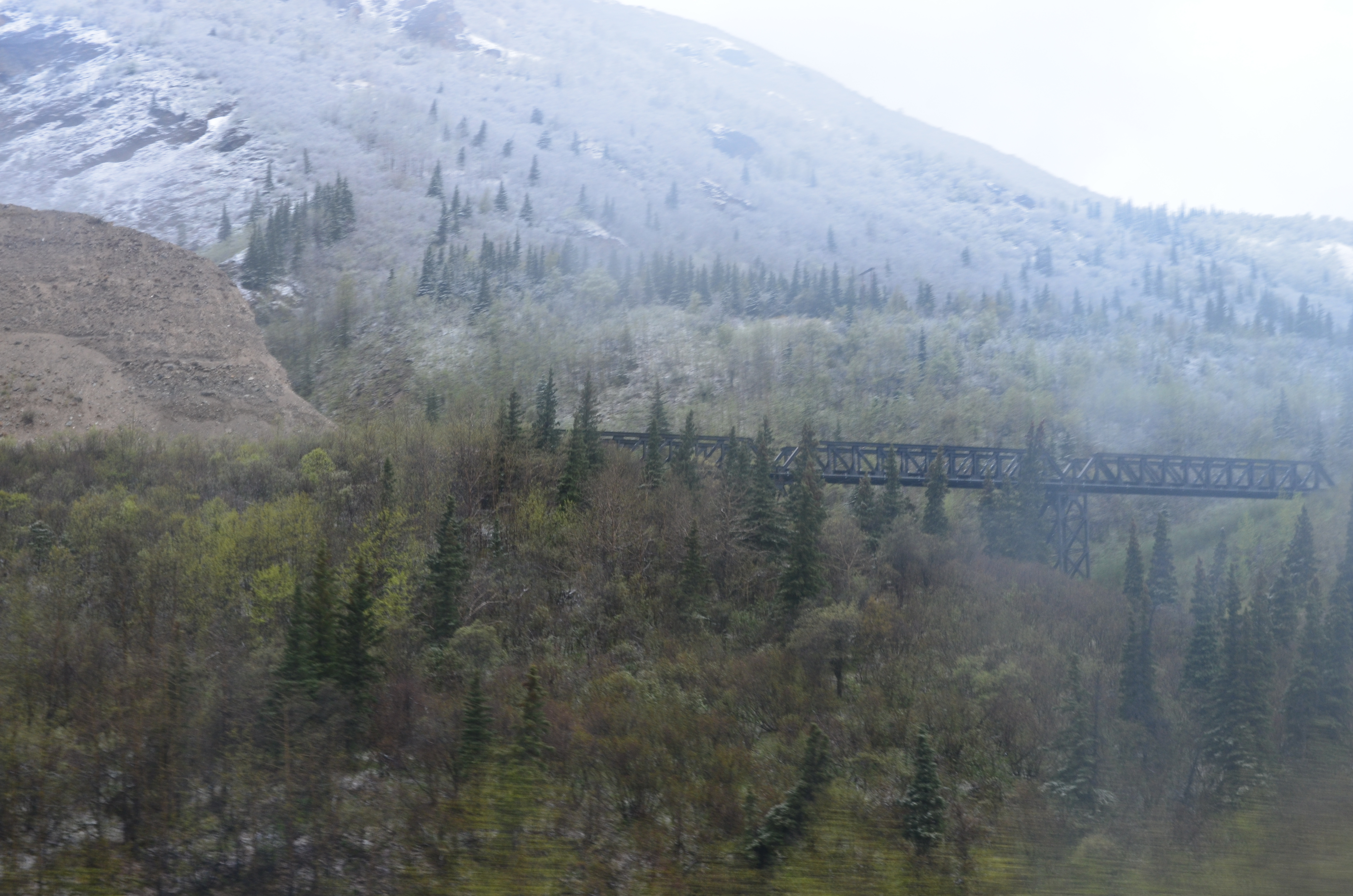 ./2017/08 - Alaska Cruise/03 - Denali/DSC_0192.JPG